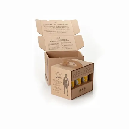 custom-kraft-mailer-boxes-2